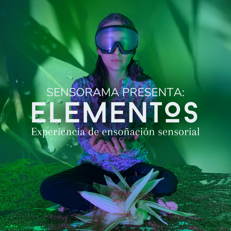 Elementos: Experiencia de Ensoñación Sensorial