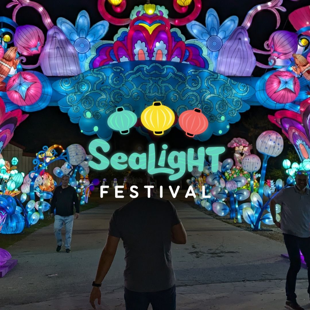 SeaLight Festival