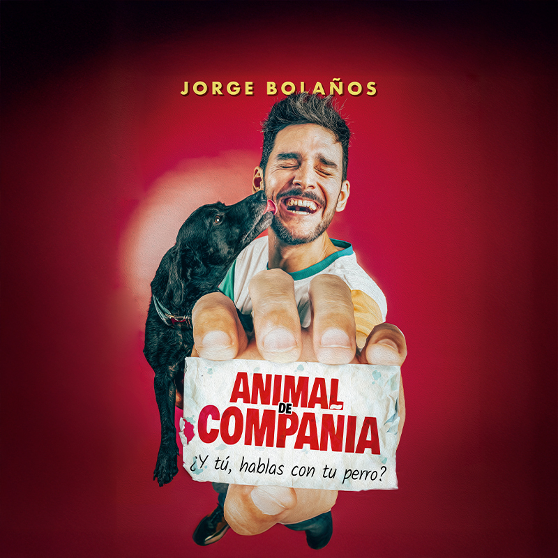 Animal de Compañía en Tenerife