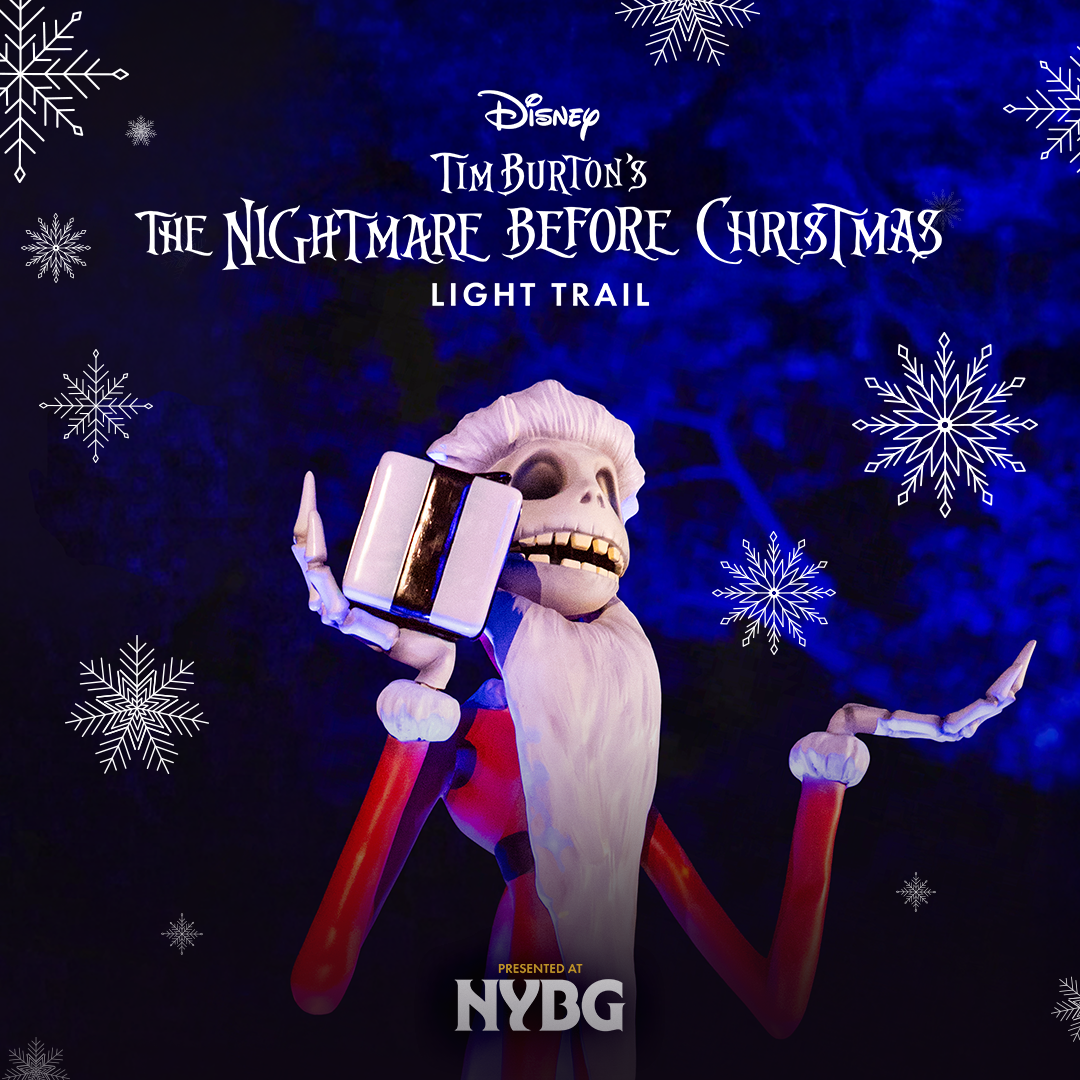 El sendero iluminado de El extraño mundo de Jack