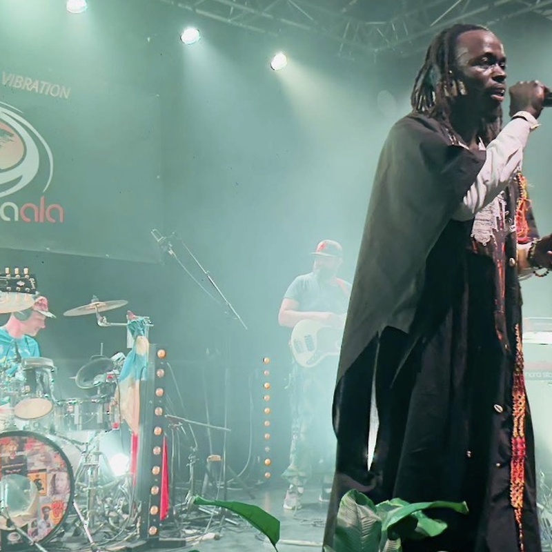 King Kaala Band - Live Concert