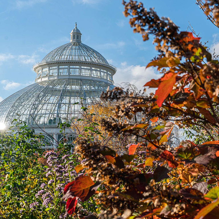 ﻿Encuentra tu otoño: Jardín Botánico de Nueva York