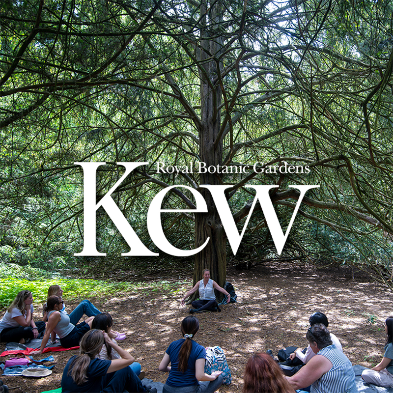 Forest Bathing at The Royal Botanic Gardens, Kew