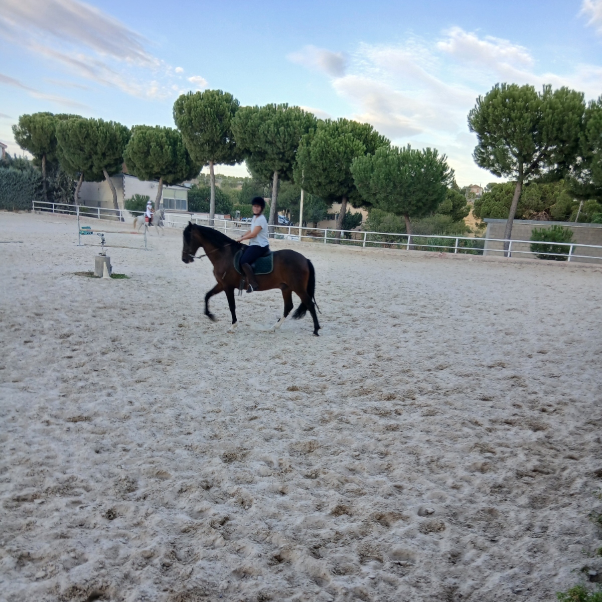 Rutas a caballo en la Escuela de Henry