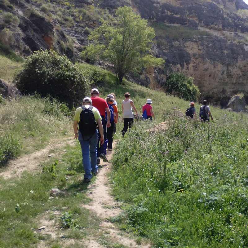 Domingos de Patrimonio: La Senda de los Elefantes