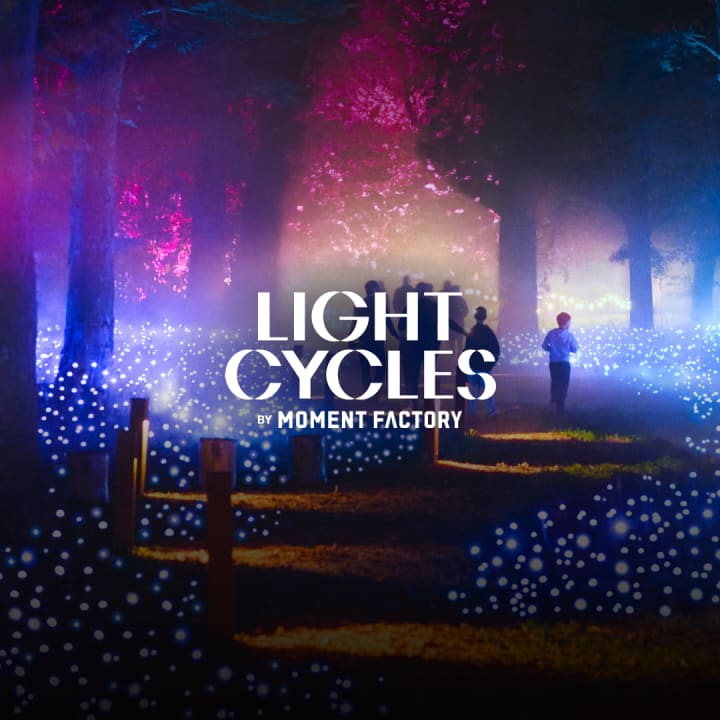 Light Cycles: An Immersive Night Walk - Waitlist