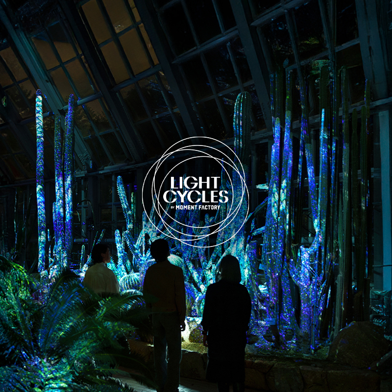 京都府立植物園：LIGHT CYCLES KYOTO (ライトサイクル京都)