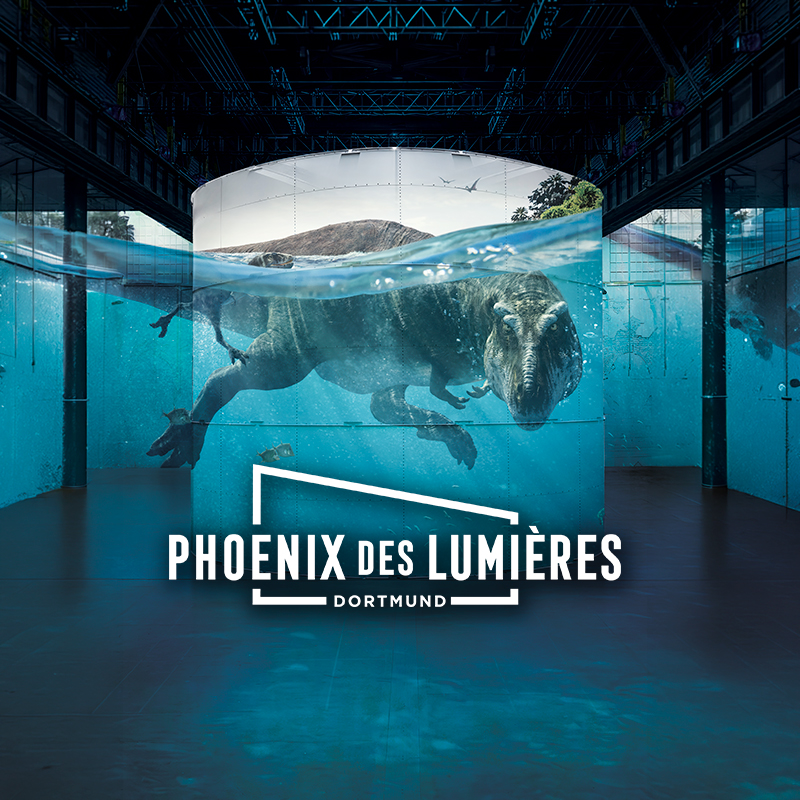 Phoenix des Lumières Kombi-Ticket
