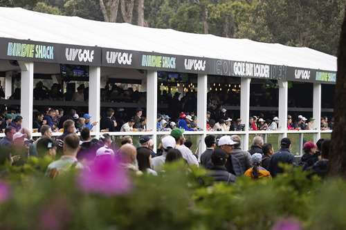 Front-row views on 18