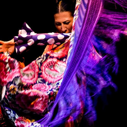 Museo del Baile Flamenco: Solo el espectáculo