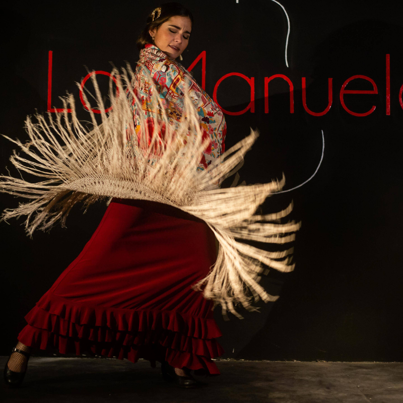 Tablao La Manuela: Flamenco Show