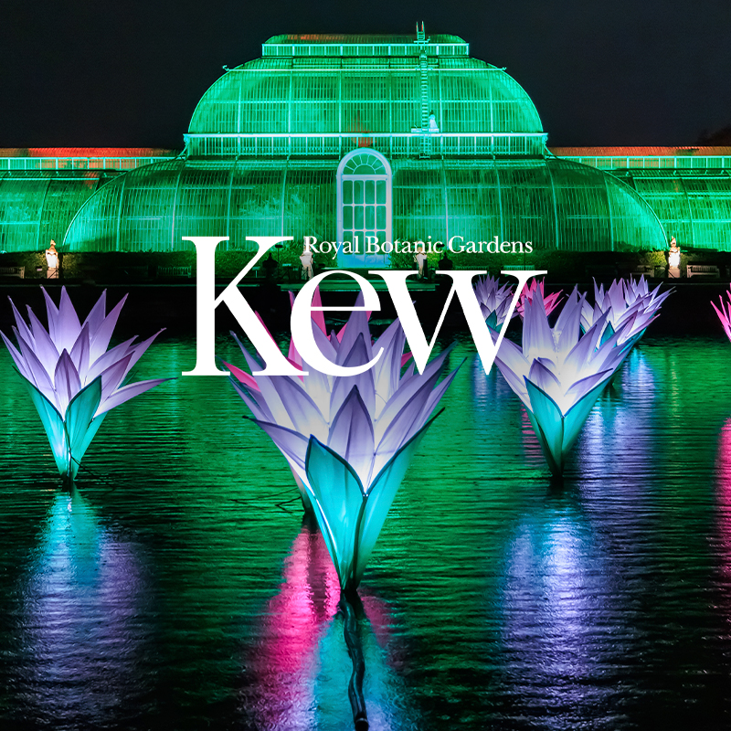 Christmas at Kew - Waitlist