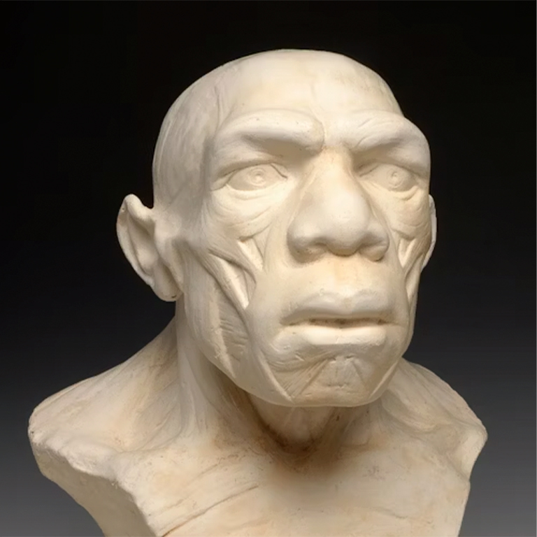 Musée de l’Homme: Billet coupe-file