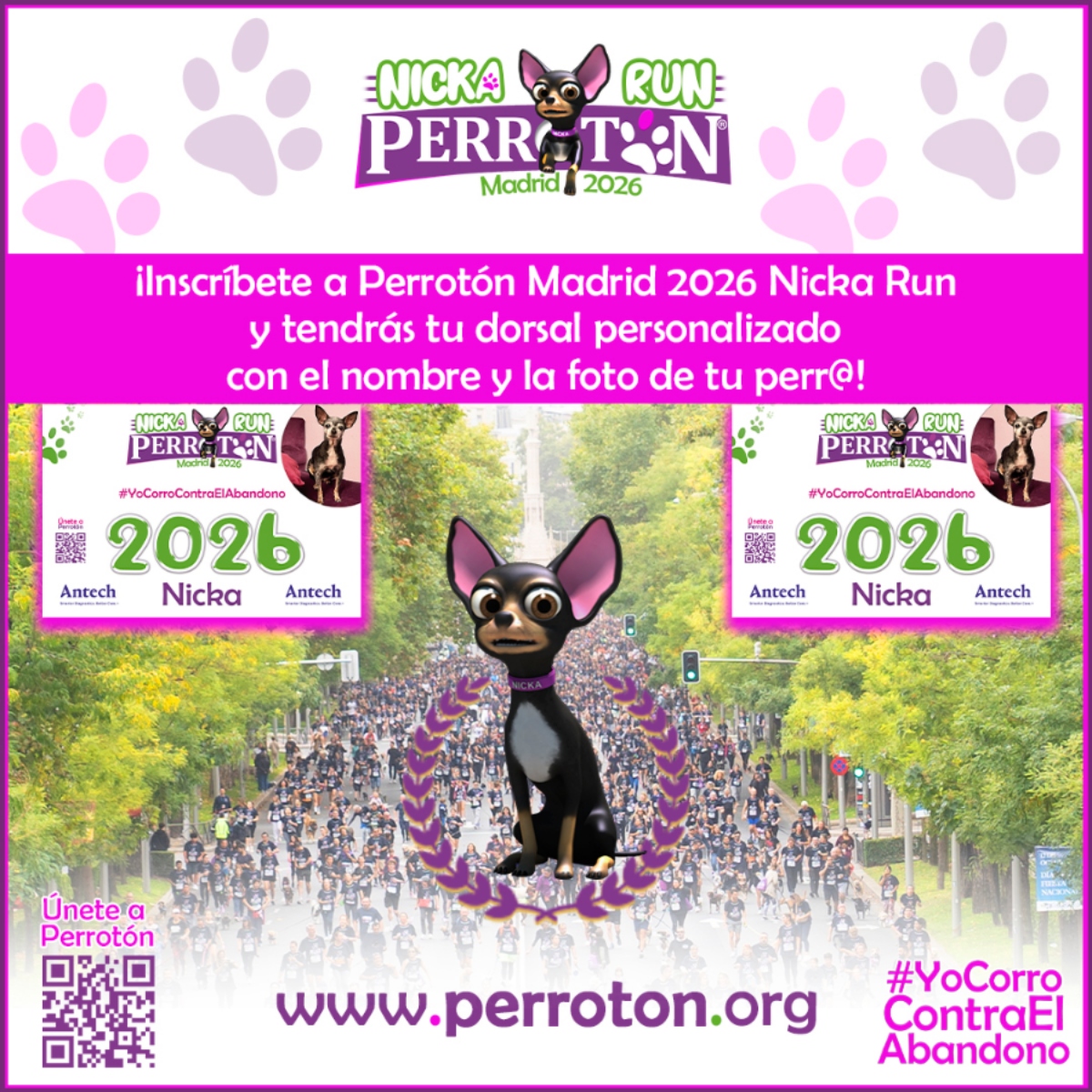 PERROTÓN MADRID 2026 NICKA RUN