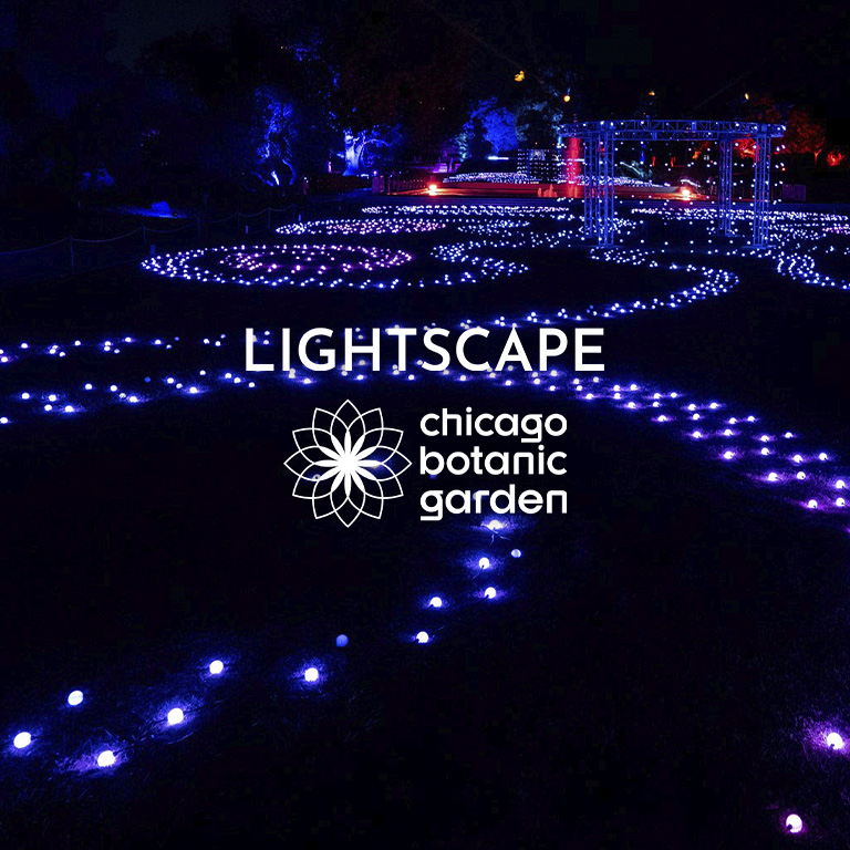 Lightscape at Chicago Botanic Garden - Chicago Botanic Garden Lightscape at Chicago Botanic Garden