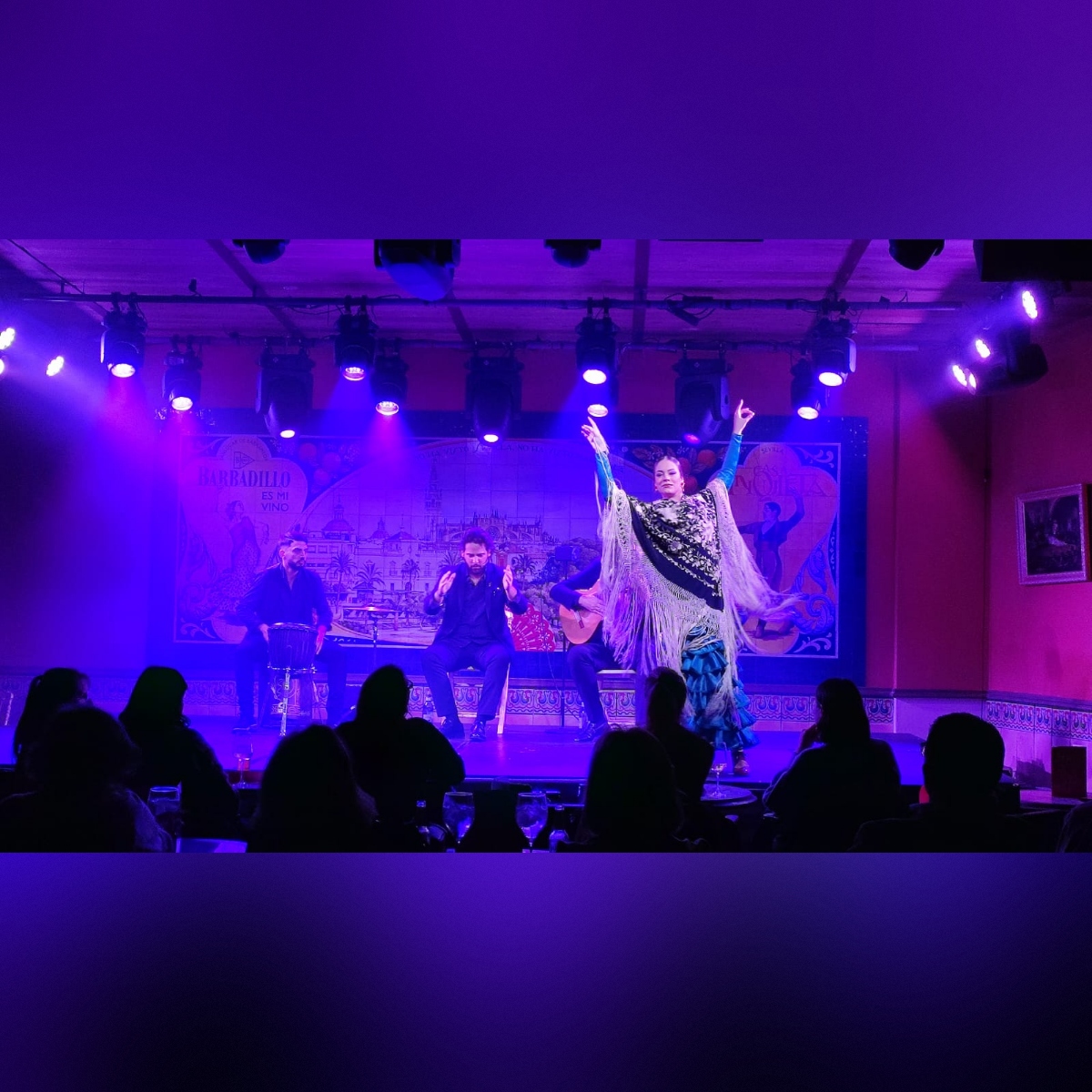 Flamenco Show at Casa Inquieta