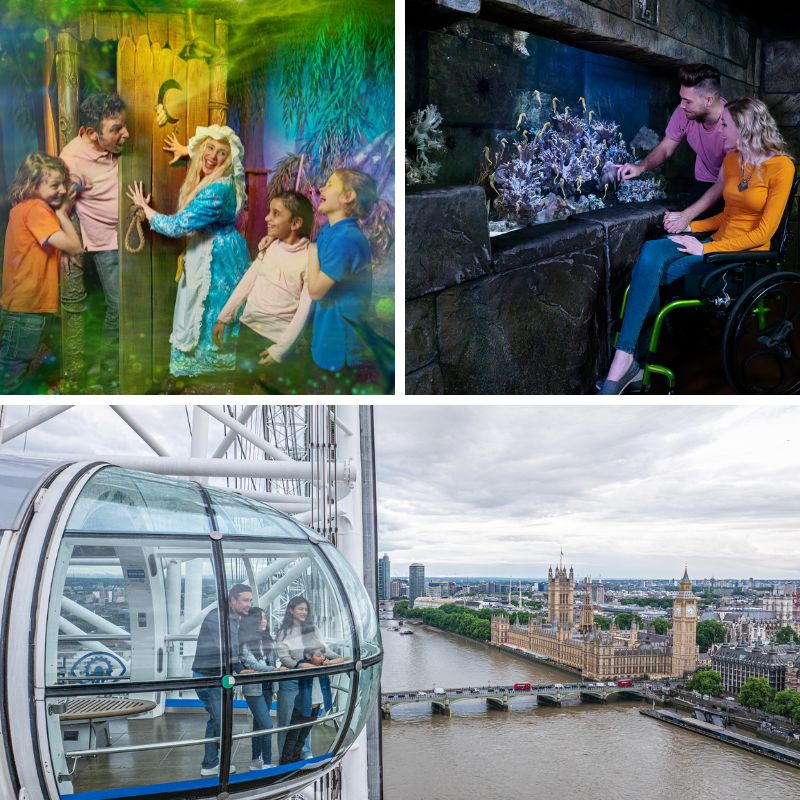 Shrek's Adventure, London Eye & SEA LIFE Aquarium