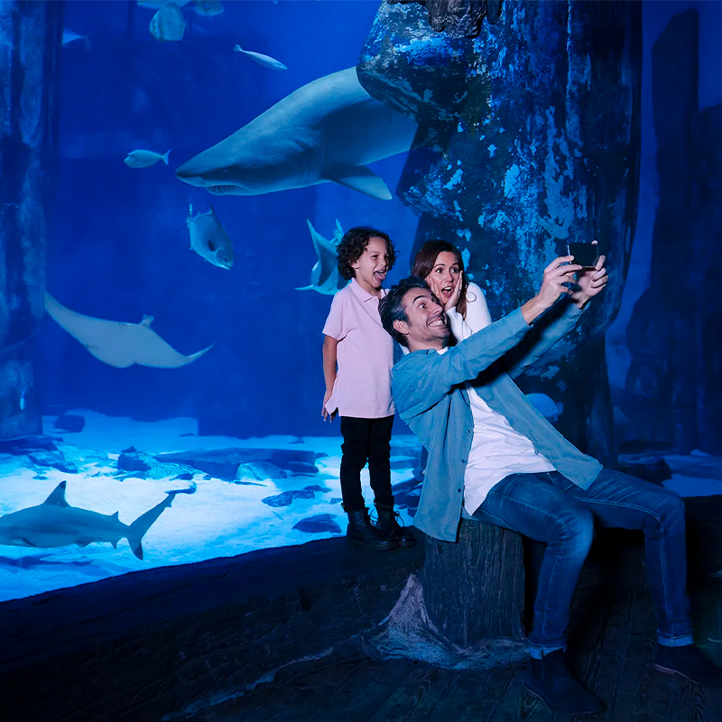 SEA LIFE Aquarium - Standard Entry