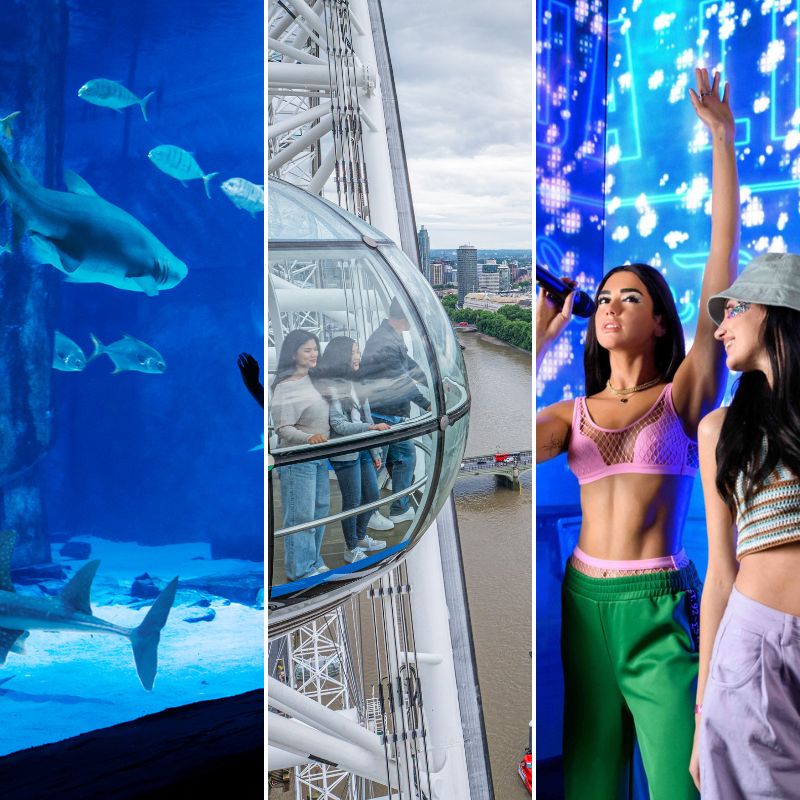 SEA LIFE Aquarium, London Eye & Madame Tussauds