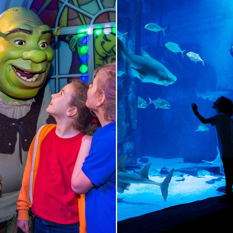 SEA LIFE Aquarium & Shrek's Adventure