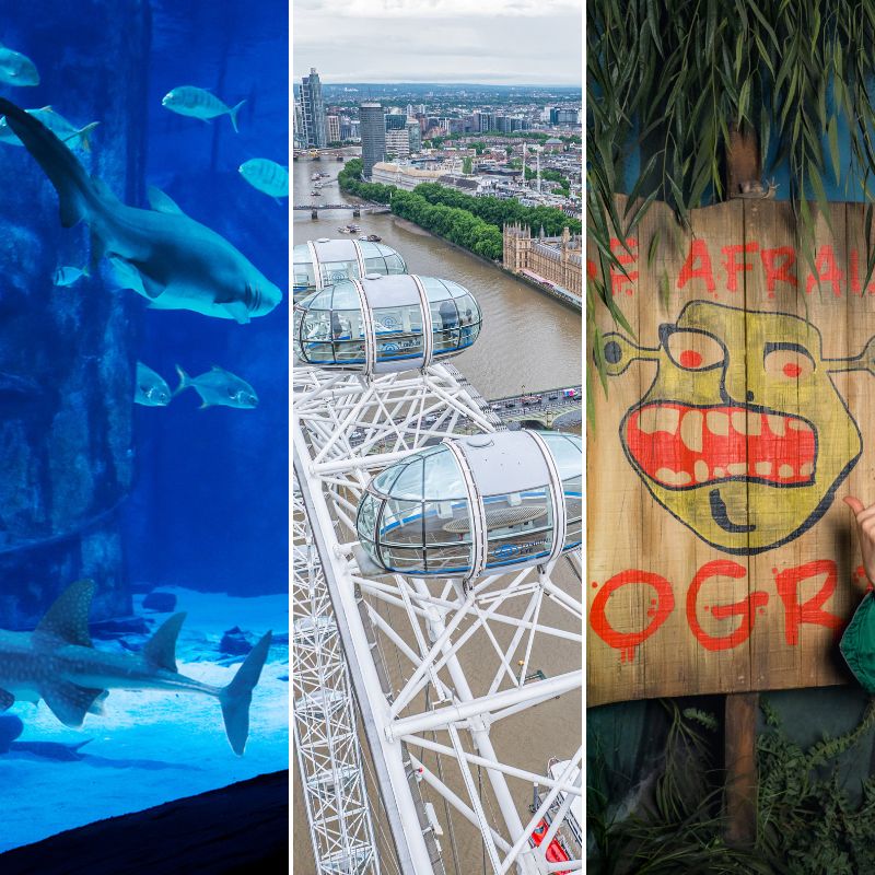 SEA LIFE Aquarium, London Eye & Shrek's Adventure