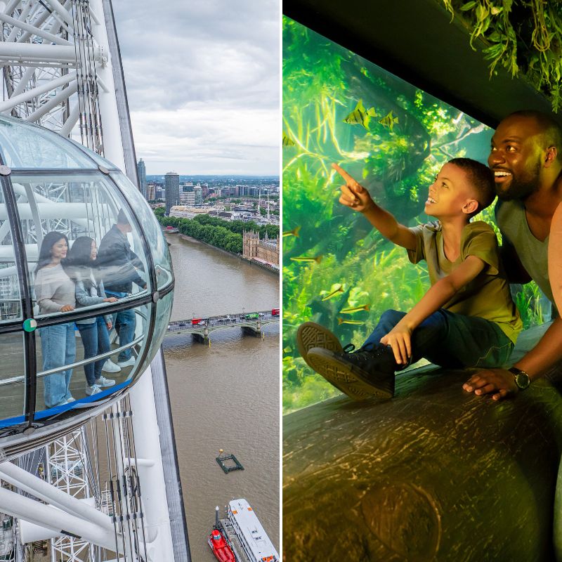 SEA LIFE Aquarium & London Eye
