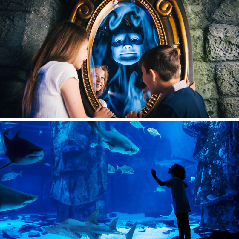 Shrek's Adventure & SEA LIFE Aquarium