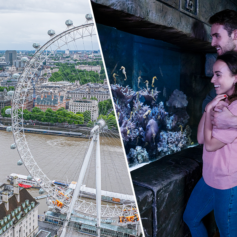 London Eye & SEA LIFE London Aquarium