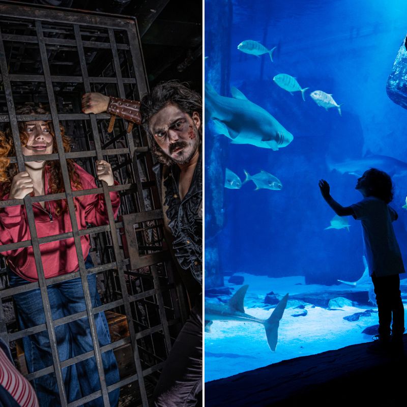 London Dungeon & SEA LIFE Aquarium